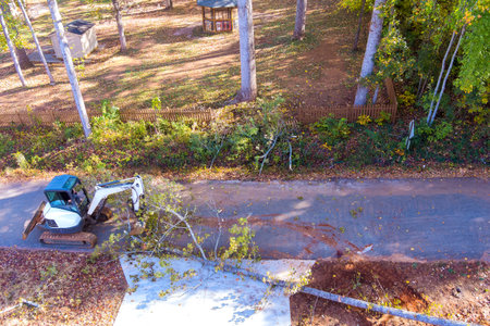 Heavy machinery removes fallen tree from gravel path in wooded environment, after hurricaneの写真素材