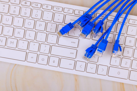 Blue Ethernet cables are connected to keyboard in online workspace during digital commerce.