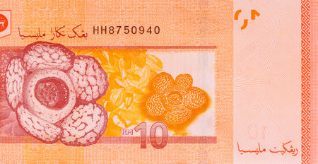 Malaysian cash banknote currency is represented by Malaysian paper banknotes in denominations ten...