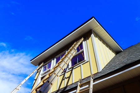 Workers are using ladders to reach upper part of house to carry out maintenance during installing...