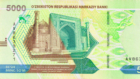 5000 som cash Uzbek banknote certified by Ozbekiston Respublikasi Markaziy Banki rear view