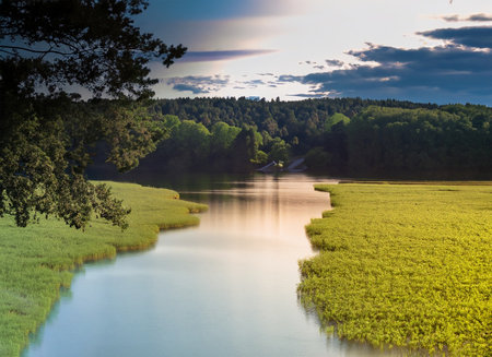 Beautiful summer landscape with lake and forest at sunset. Nature composition.の素材