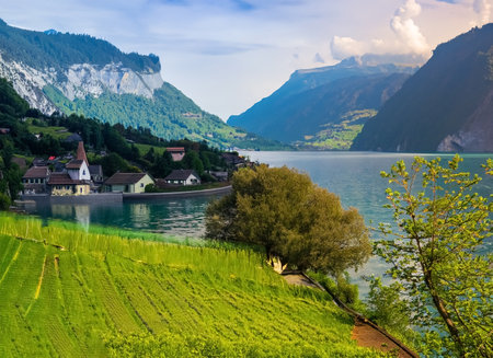Panoramic view of the lake Lucerne, Switzerland.の素材