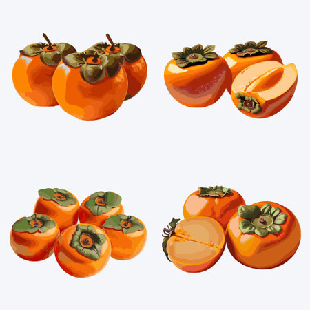 Persimmon fruit set. Vector illustration of ripe persimmon fruit.のイラスト素材