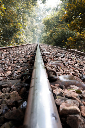 Railway track in the forest, perspective view. Travel concept.
