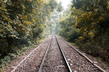 Railway in the forest. Selective focus on rails.  Sylhet, Bangladesh