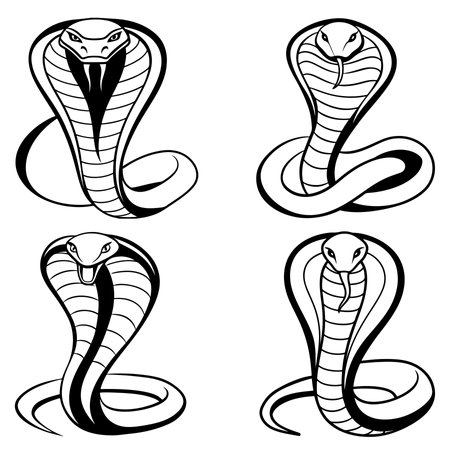 Cobra snake set in black and white. Vector illustration.のイラスト素材