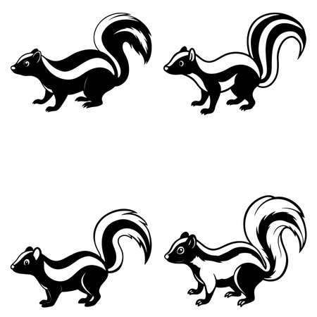 Squirrels. Set of four black and white vector illustrations.のイラスト素材