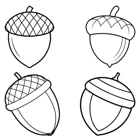 Set of acorns. Black and white vector illustration for coloring book.のイラスト素材