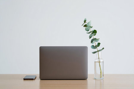 Laptop with eucalyptus. Mobile phone on desk. Minimalist styleの素材