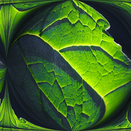 Green abstract backgroundの写真素材