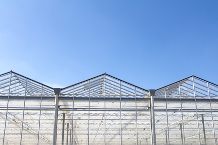 Greenhouse in front of a blue skyの写真素材