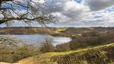 Landscape with a lake near Viborg in Jutland Denmarkの写真素材