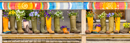 Rainboots with flowers in a rowの写真素材
