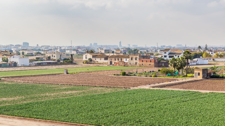 Countryside surrounding Valencia Spain, also called the  vegetable garden of Valenciaの写真素材