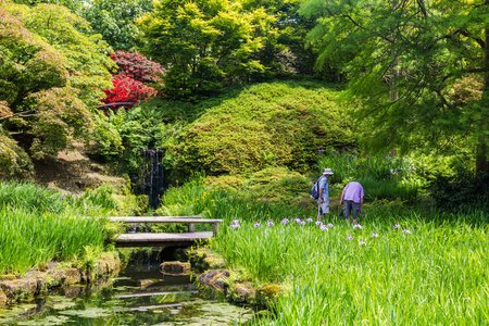 Colorful British castle garden during spring in Sussex, Englandの写真素材