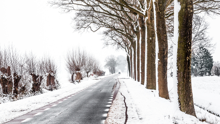 Dutch snow landscape with treesの写真素材