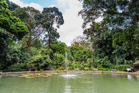 Botanical gardens Kebun Raya in Bogor, West Java, Indonesia