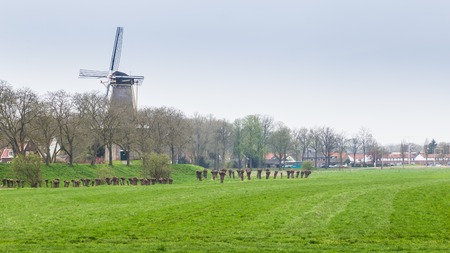 Village view of the picturesque ancient little village Buren in Neder-Betuwe, Gelderland, Netherlandsの写真素材