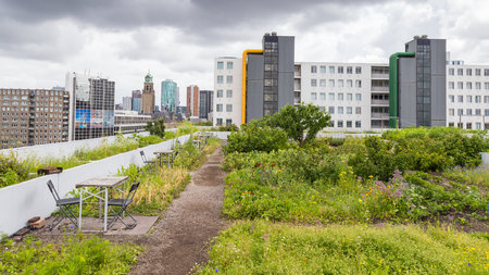Vegetable roofgarden on top of an office building in the citycenter of Rotterdam, Netherlands. The biggest rooftop farm in Europe.の写真素材