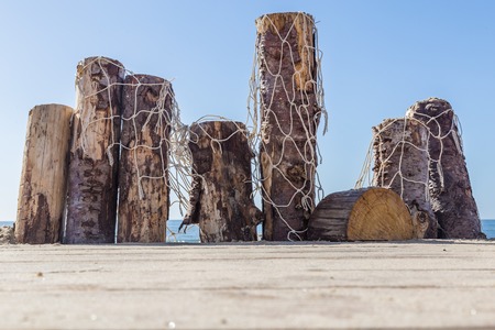 Wooden poles with fishing nets at the sandy beach on the coast n the Netherlandの写真素材