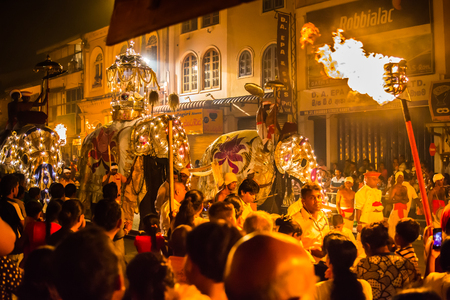 Kandy  Sri Lanka July 29 2017 -  Procession of the elephants during the Kandy festival in Sri Lanka. The elepant in the middle carries the tooth relic of the Temple of trhe Tooth in Kandy.のeditorial素材