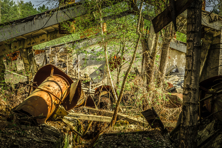 Abandoned farm overgrown with trees in Belarus Chernobyl exclusion zone, recently opened for teh public from april 2019.の写真素材