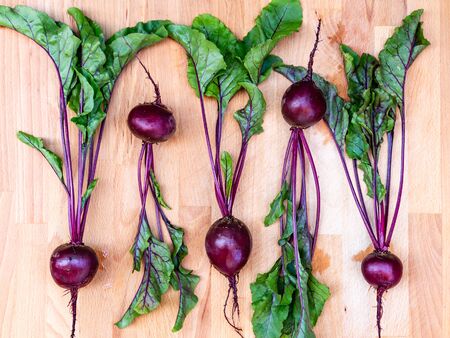 Fresh harvested red beets Crosbys Egyptian on a wooden shelf