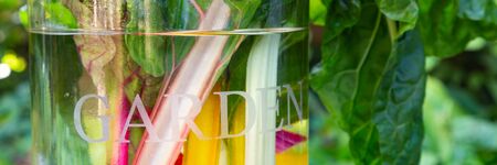 Bouquet of Fresh Rainbow chard in a vase with garden written on itの写真素材