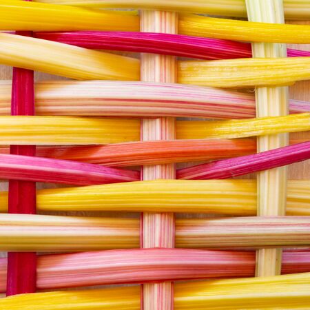 Background with closeup of colorful rainbow chard stemsの写真素材