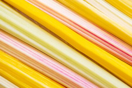 Background with closeup of colorful rainbow chard stemsの写真素材