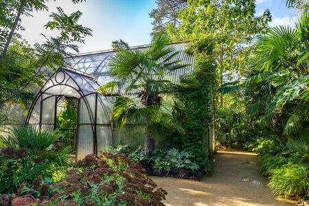 Beautiful round shaped green house from rusted steel and corrugated sheets in a garden surrounded by treesの写真素材