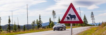 Sheep warning traffic sign along the road in Norway. Beware of the sheep!の写真素材