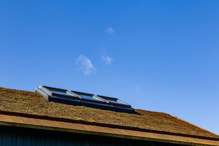 Modern green roof with windos covered with green and red sedum for isolation and heating