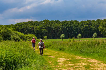 Two adults hiking through Dutch landscape in the sun between madows and treesのeditorial素材