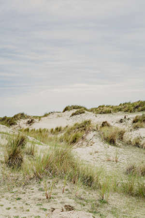 Vertical background with sand dunes, beach and beach grass alog the North Sea coast of he...