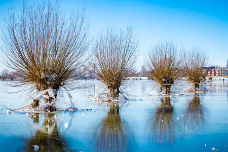Frozen floodplains in the Netherlands during winter