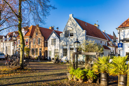 Harderwijk , The Netherlands - November 13, 2021: Street with white and gable houses and trees in the medieval center of Hardewijk, Gelderland in The Netherlandsのeditorial素材