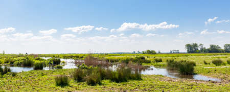 Landscape of island and nature reserve Tiengemeten Hoeksche Waard n South Holland in The neteherlandsの写真素材