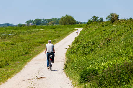 Senior man cycling at island and nature reserve Tiengemeten Hoeksche Waard n South Holland in The neteherlandsの写真素材