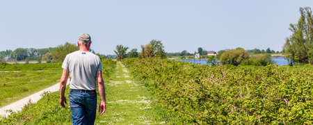 Senior man hiking along a dike at island and nature reserve Tiengemeten Hoeksche Waard n South...