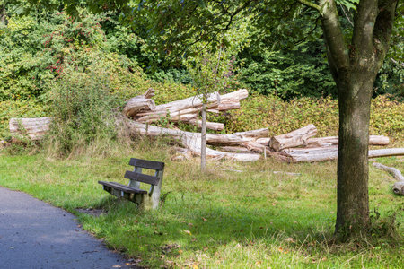 Johan Smitpark in Zuidhorn, municipality Westerkwartier Groningen province in the Netherlands