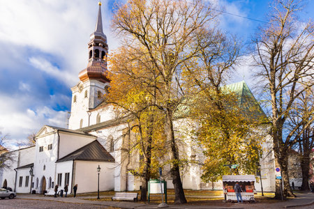 Talinn, Estonia - October 19, 2022: Cityscape with Saint Mary Cathedral in the old town of Talinn in Estoniaのeditorial素材