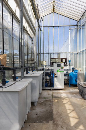Groessen, The Netherlands- April 2, 2023: Fertilization system in a Hyndrangea nursery in greenhouse in Groessen municipality Duiven Gelderland province in The Netherlandsのeditorial素材