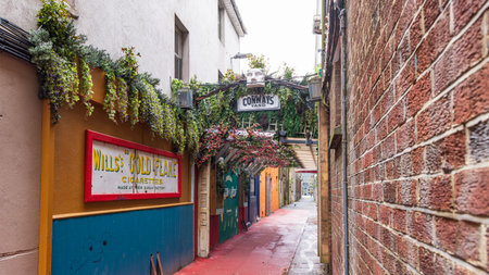 Cork, Ireland - April 16, 2023: Cityscape with greening plants along entrance of bar Conways park in Cork in Munster province in Ireland Europeのeditorial素材
