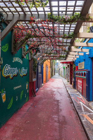Cork, Ireland - April 16, 2023: Cityscape with greening plants along entrance of bar Conways park in Cork in Munster province in Ireland Europeのeditorial素材