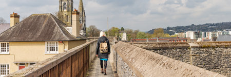 View from Fort Elizabeth Dun Elise with Saint Fin Barres Cathedral in Cork Munster province in...