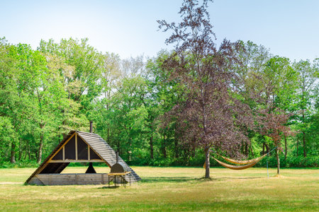 Campsite with fireplace and hammock between trees on a sunny dayの写真素材