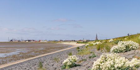Skyline and coastline of Harlingen in Friesland province in The Netherlandsの写真素材