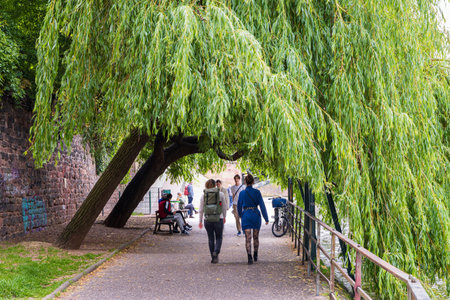 Strasbourg, France - May 14, 2023: Tourist walking underneath two weeping willows along the river quay of Strasbourg in Elsace region along the Rhine river in Franceのeditorial素材